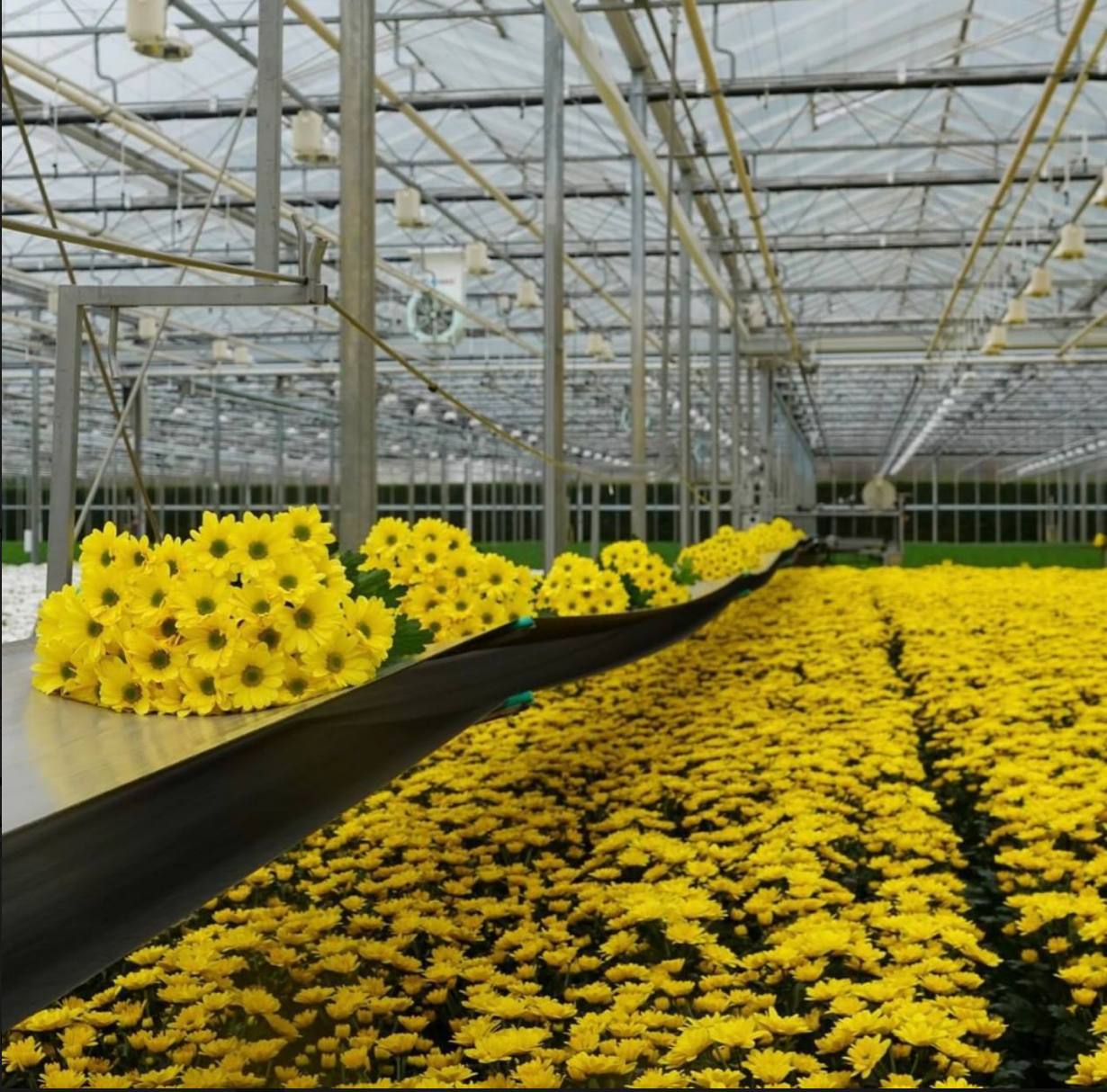 Робота, умови та проживання кандидатів Robota Vam — фото 31