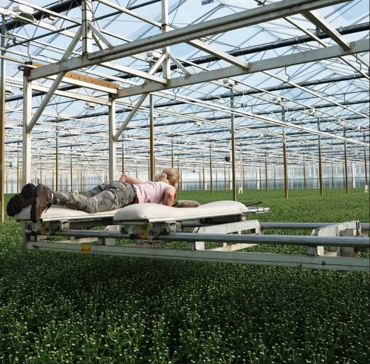 Робота, умови та проживання кандидатів Robota Vam — фото 32